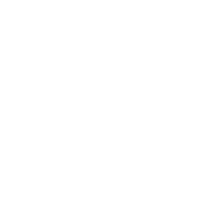 flower_2