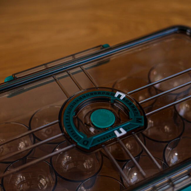 Tupperware Egg Organizer - Image 5
